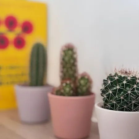 アパート Paroles Paroles Holidays オステンド